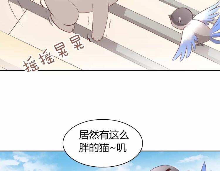 猫爪之下韩漫全集-第39话 鸟妈妈的苦心无删减无遮挡章节图片 