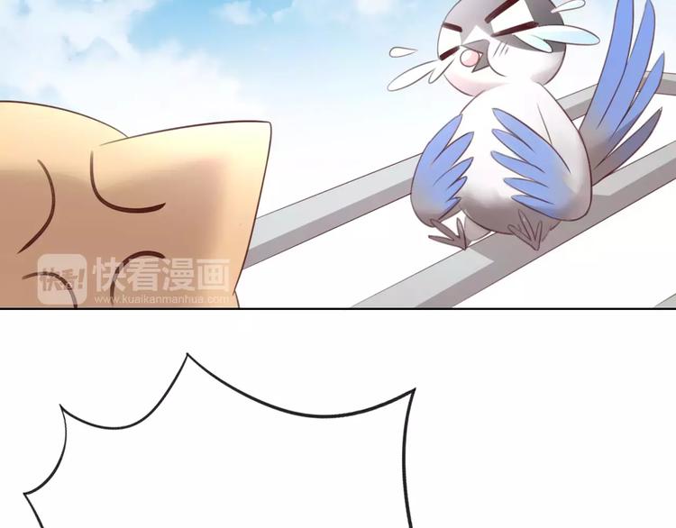 猫爪之下韩漫全集-第39话 鸟妈妈的苦心无删减无遮挡章节图片 