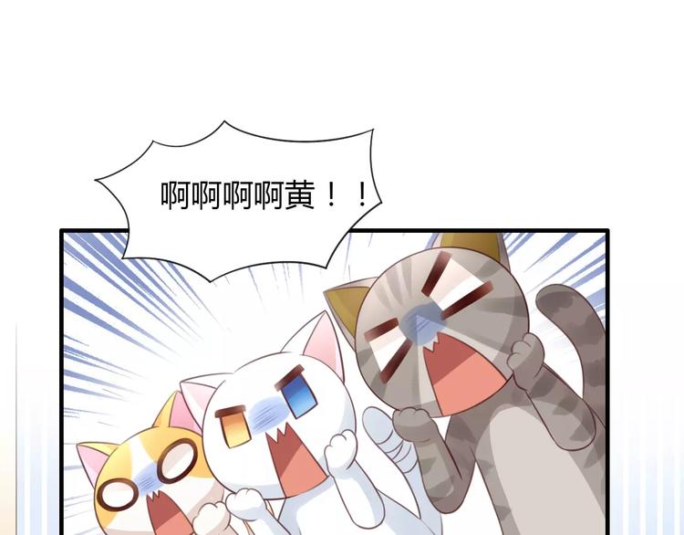 猫爪之下韩漫全集-第39话 鸟妈妈的苦心无删减无遮挡章节图片 