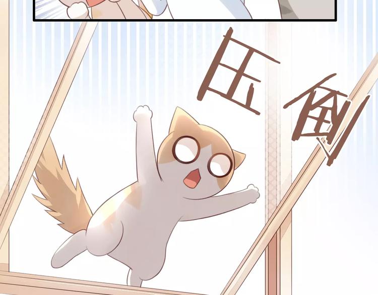 猫爪之下韩漫全集-第39话 鸟妈妈的苦心无删减无遮挡章节图片 