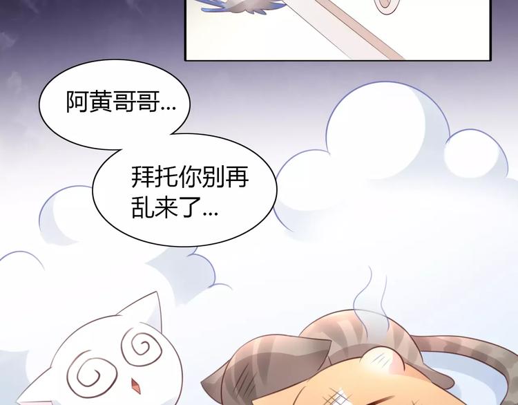 猫爪之下韩漫全集-第39话 鸟妈妈的苦心无删减无遮挡章节图片 