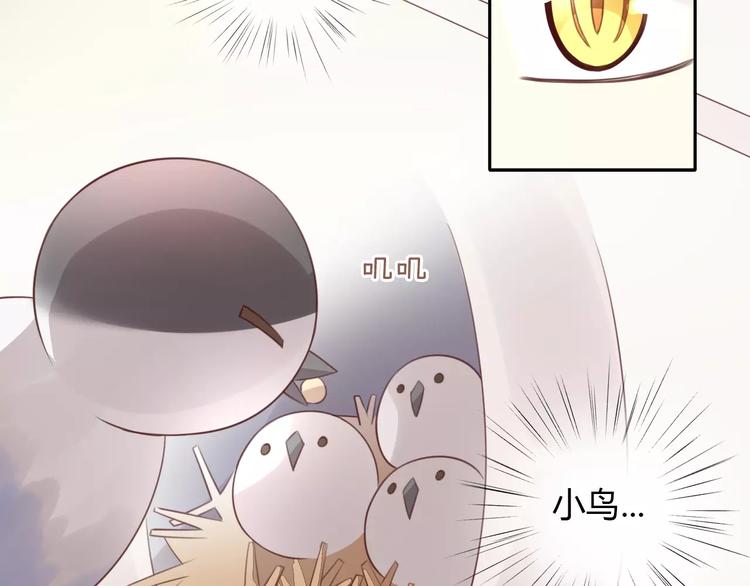 猫爪之下韩漫全集-第39话 鸟妈妈的苦心无删减无遮挡章节图片 