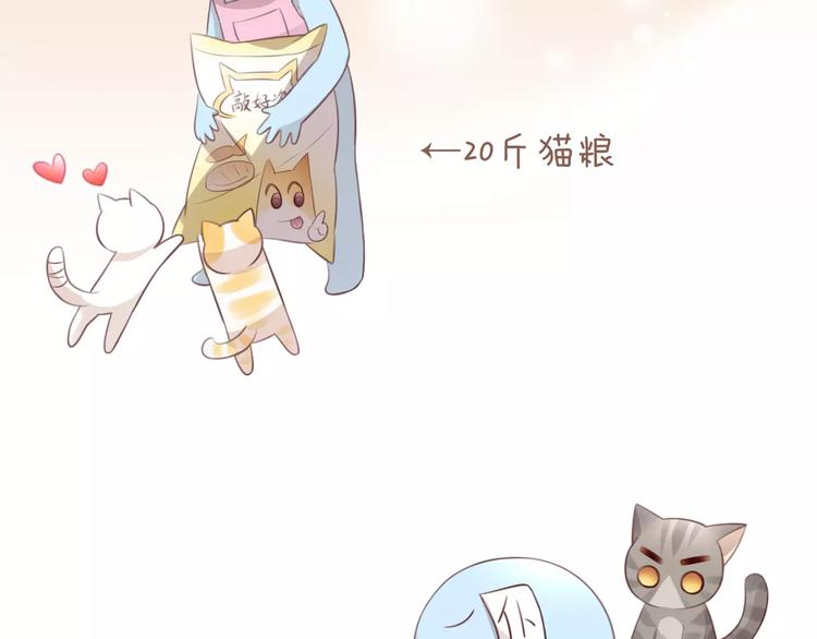 猫爪之下韩漫全集-第39话 鸟妈妈的苦心无删减无遮挡章节图片 