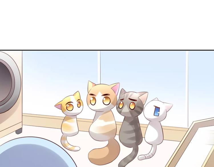 猫爪之下韩漫全集-第39话 鸟妈妈的苦心无删减无遮挡章节图片 