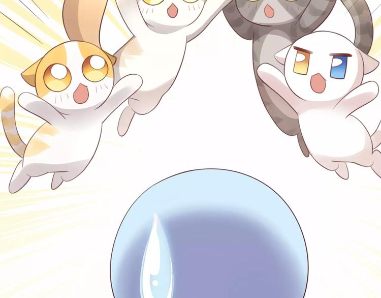 猫爪之下韩漫全集-第39话 鸟妈妈的苦心无删减无遮挡章节图片 