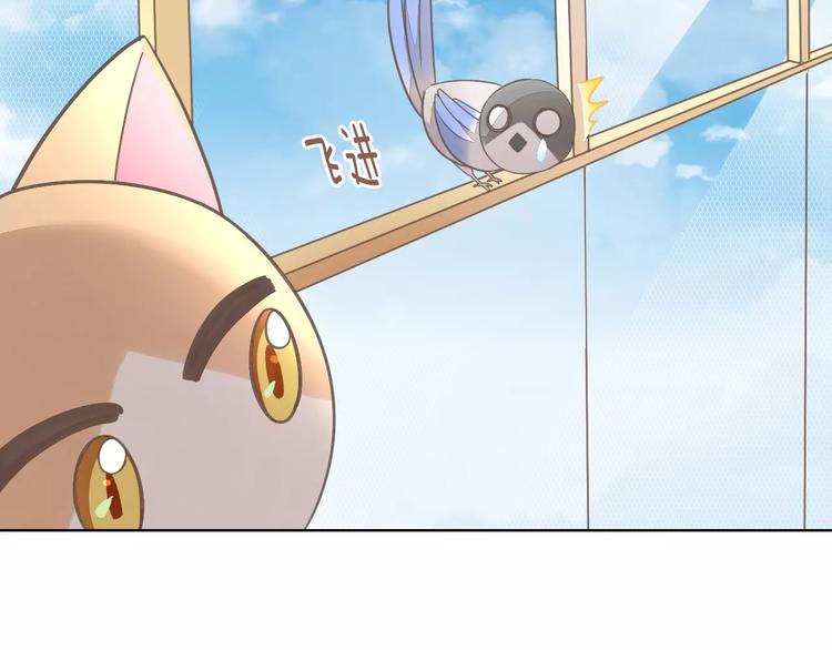 猫爪之下韩漫全集-第39话 鸟妈妈的苦心无删减无遮挡章节图片 