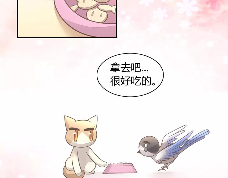猫爪之下韩漫全集-第39话 鸟妈妈的苦心无删减无遮挡章节图片 