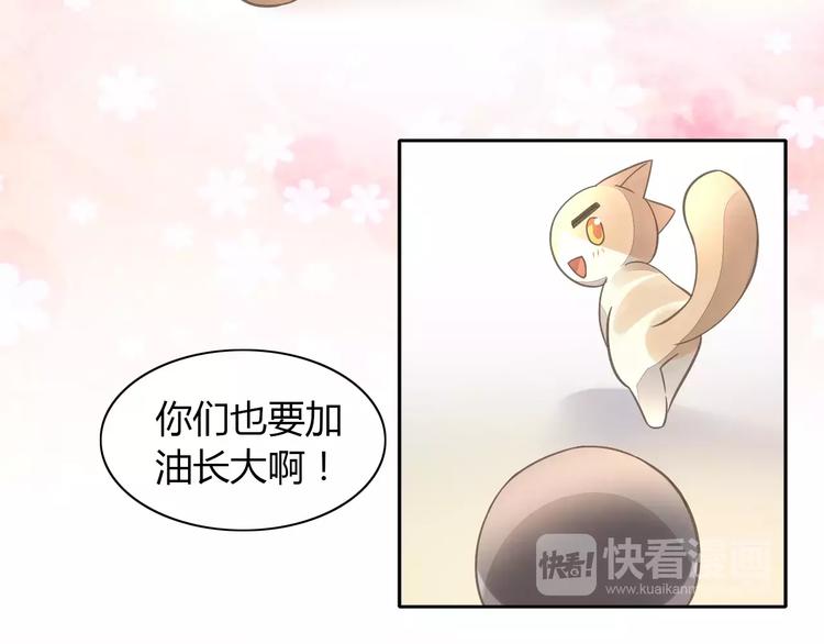 猫爪之下韩漫全集-第39话 鸟妈妈的苦心无删减无遮挡章节图片 