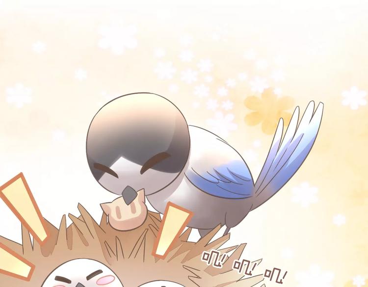 猫爪之下韩漫全集-第39话 鸟妈妈的苦心无删减无遮挡章节图片 