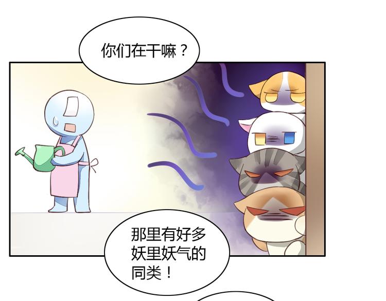 猫爪之下韩漫全集-第5话  我叫泰日天！无删减无遮挡章节图片 