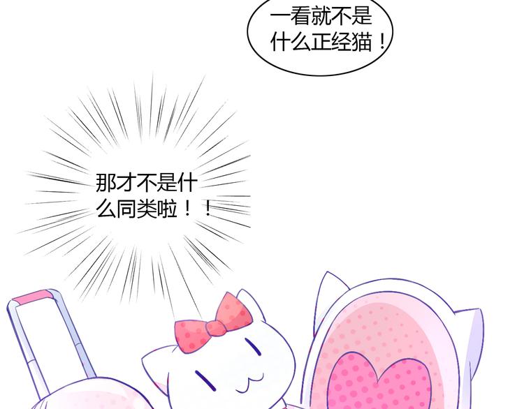 猫爪之下韩漫全集-第5话  我叫泰日天！无删减无遮挡章节图片 