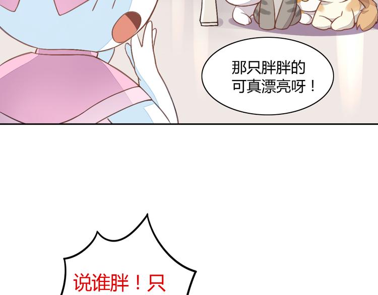猫爪之下韩漫全集-第5话  我叫泰日天！无删减无遮挡章节图片 