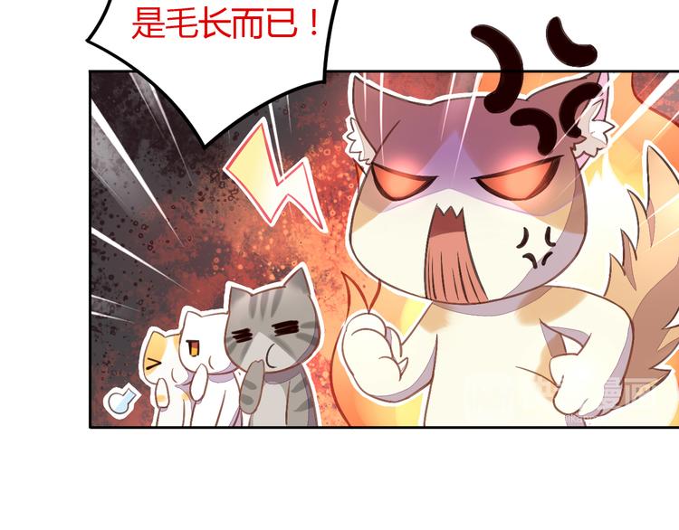 猫爪之下韩漫全集-第5话  我叫泰日天！无删减无遮挡章节图片 