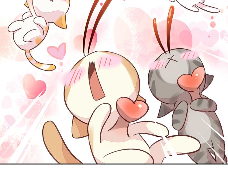 猫爪之下韩漫全集-第5话  我叫泰日天！无删减无遮挡章节图片 