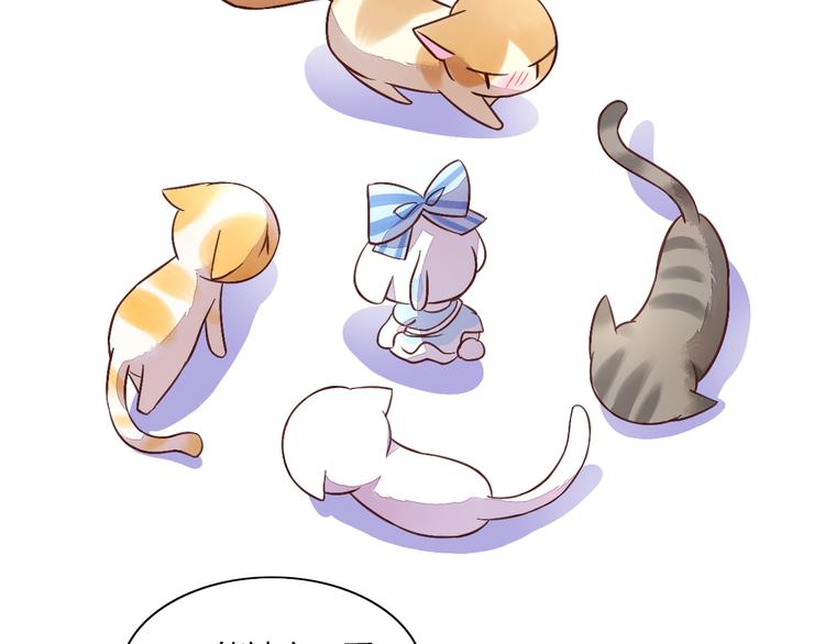 猫爪之下韩漫全集-第5话  我叫泰日天！无删减无遮挡章节图片 