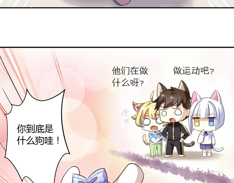 猫爪之下韩漫全集-第5话  我叫泰日天！无删减无遮挡章节图片 