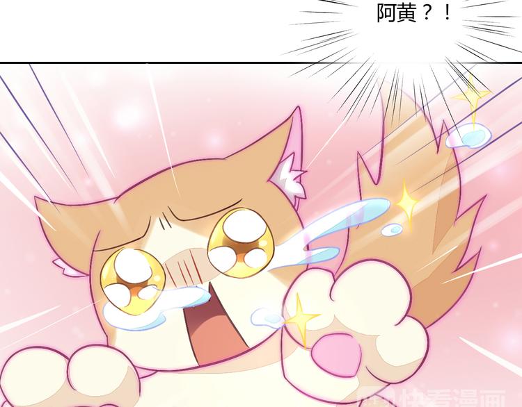 猫爪之下韩漫全集-第5话  我叫泰日天！无删减无遮挡章节图片 