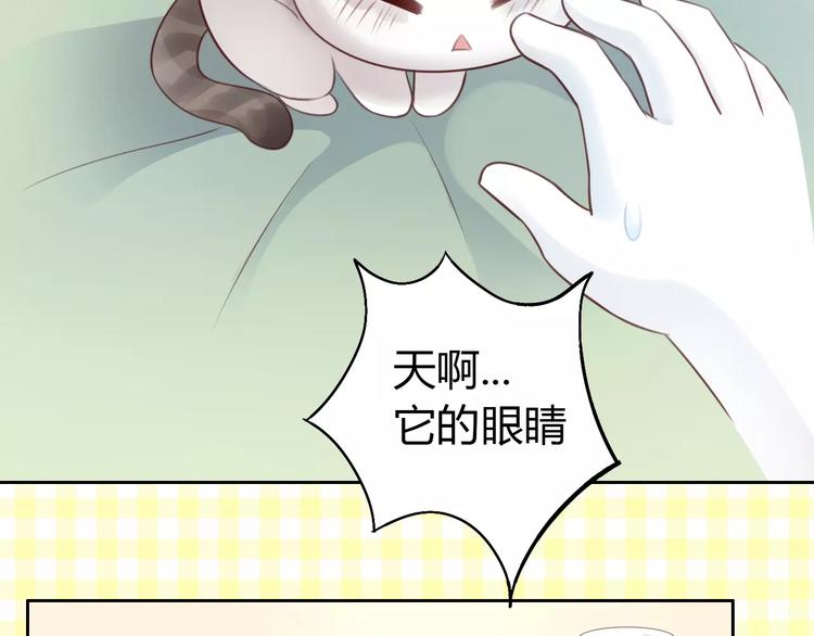猫爪之下韩漫全集-第41话 小可怜竟然是？无删减无遮挡章节图片 