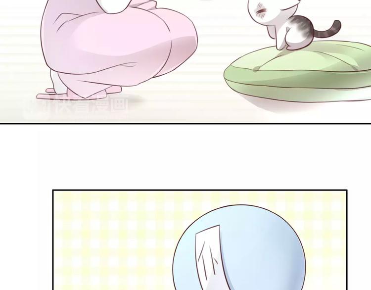 猫爪之下韩漫全集-第41话 小可怜竟然是？无删减无遮挡章节图片 