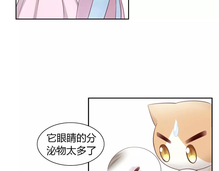 猫爪之下韩漫全集-第41话 小可怜竟然是？无删减无遮挡章节图片 