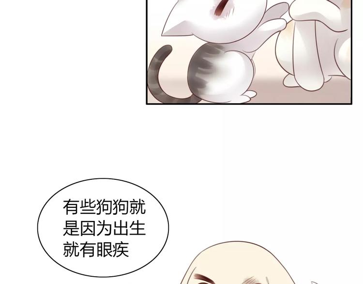 猫爪之下韩漫全集-第41话 小可怜竟然是？无删减无遮挡章节图片 