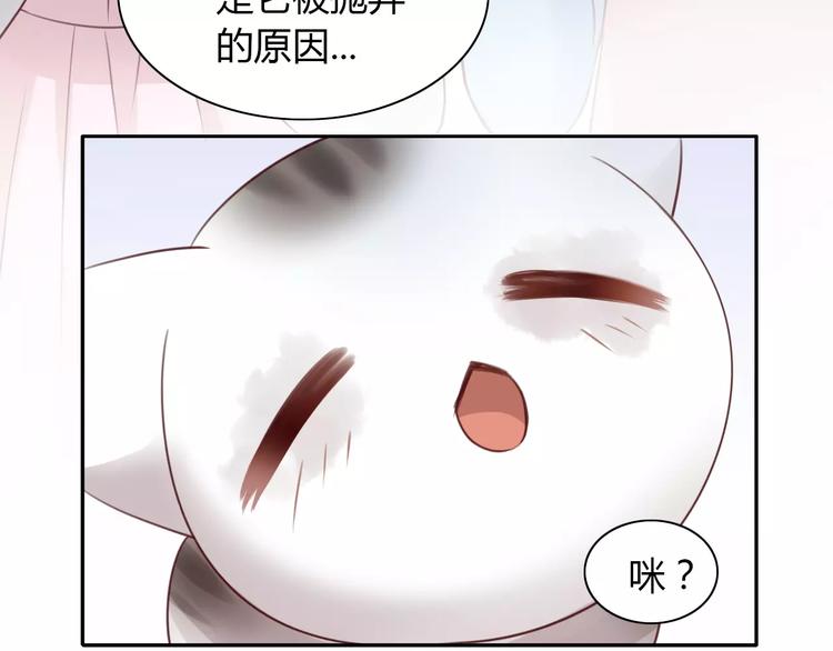 猫爪之下韩漫全集-第41话 小可怜竟然是？无删减无遮挡章节图片 