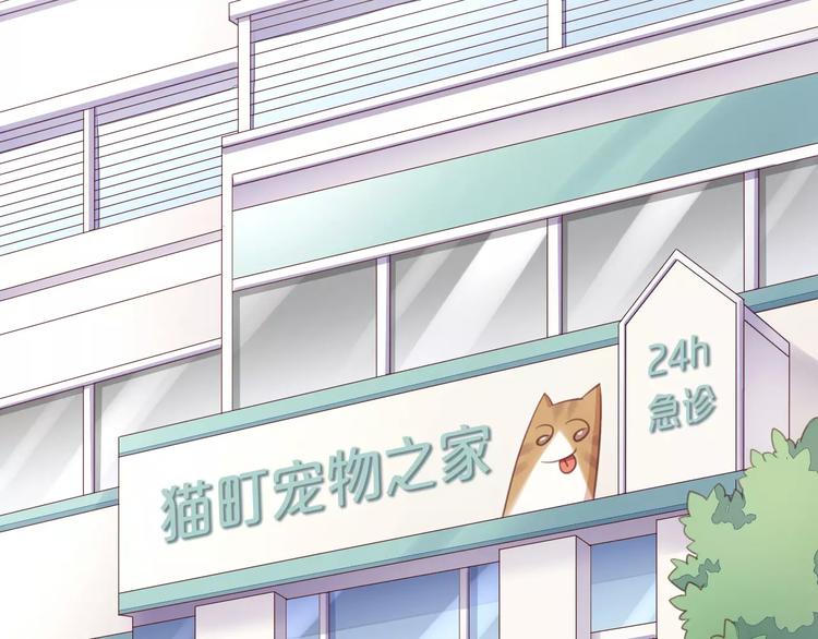猫爪之下韩漫全集-第41话 小可怜竟然是？无删减无遮挡章节图片 