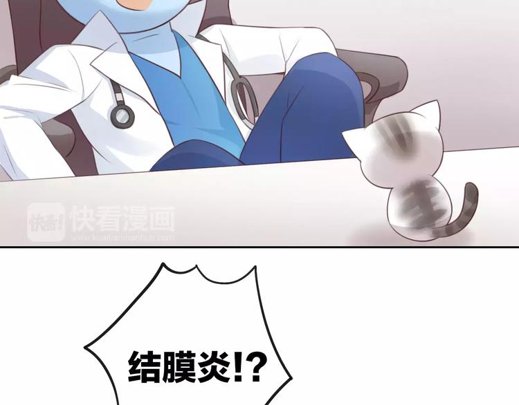 猫爪之下韩漫全集-第41话 小可怜竟然是？无删减无遮挡章节图片 