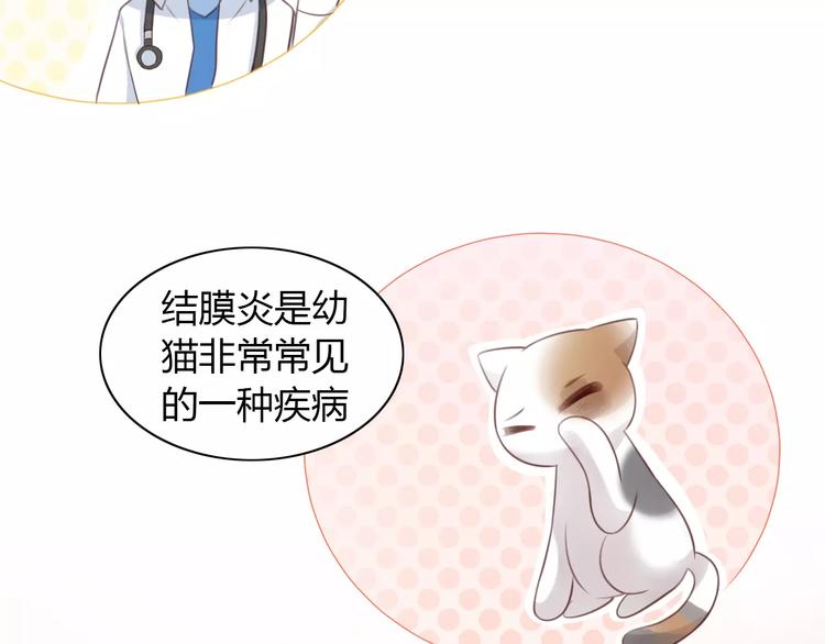 猫爪之下韩漫全集-第41话 小可怜竟然是？无删减无遮挡章节图片 