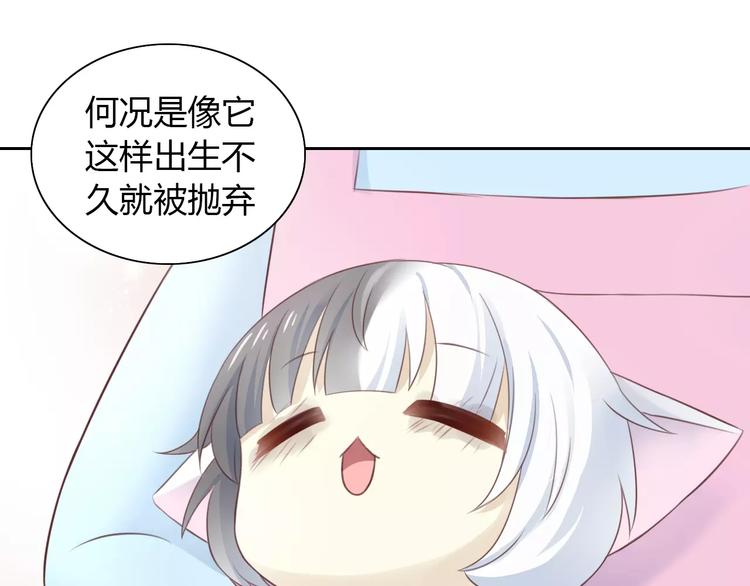 猫爪之下韩漫全集-第41话 小可怜竟然是？无删减无遮挡章节图片 