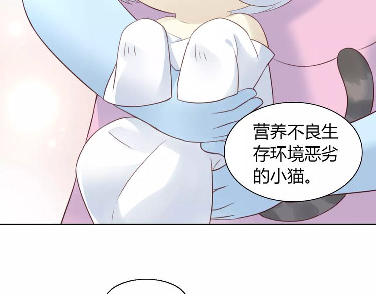 猫爪之下韩漫全集-第41话 小可怜竟然是？无删减无遮挡章节图片 