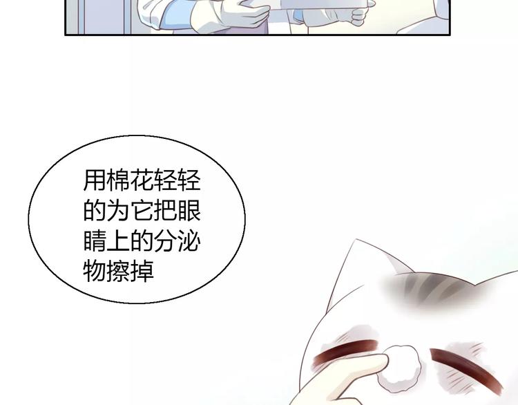 猫爪之下韩漫全集-第41话 小可怜竟然是？无删减无遮挡章节图片 
