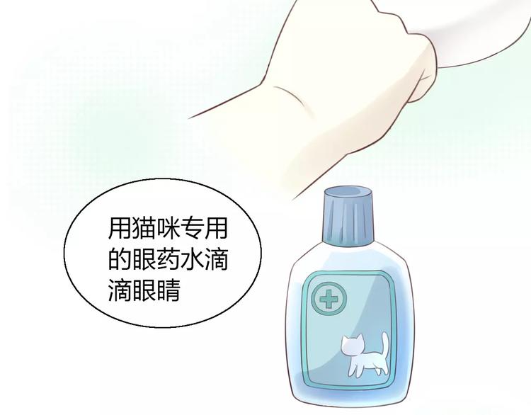 猫爪之下韩漫全集-第41话 小可怜竟然是？无删减无遮挡章节图片 