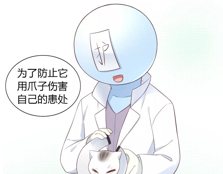 猫爪之下韩漫全集-第41话 小可怜竟然是？无删减无遮挡章节图片 
