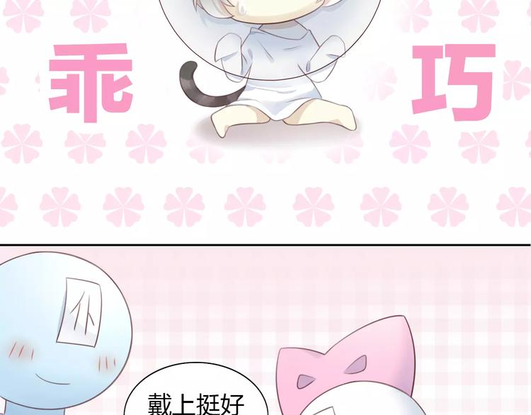 猫爪之下韩漫全集-第41话 小可怜竟然是？无删减无遮挡章节图片 