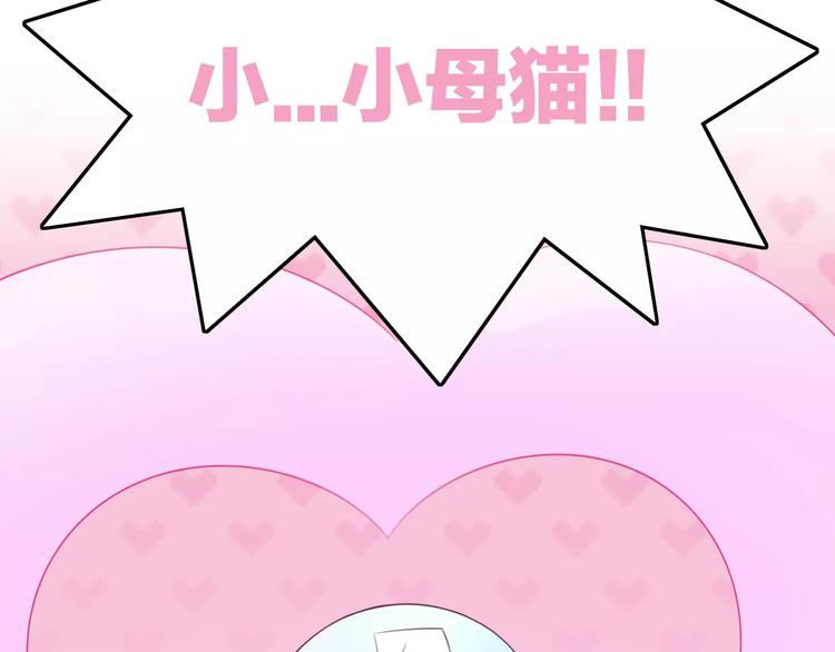 猫爪之下韩漫全集-第41话 小可怜竟然是？无删减无遮挡章节图片 