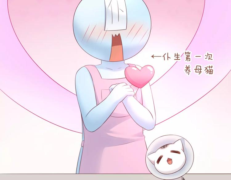 猫爪之下韩漫全集-第41话 小可怜竟然是？无删减无遮挡章节图片 