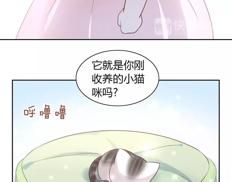 猫爪之下韩漫全集-第41话 小可怜竟然是？无删减无遮挡章节图片 