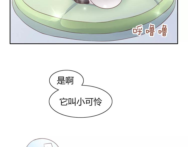 猫爪之下韩漫全集-第41话 小可怜竟然是？无删减无遮挡章节图片 
