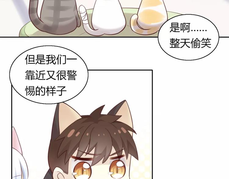 猫爪之下韩漫全集-第42话 小可怜的妈妈？无删减无遮挡章节图片 