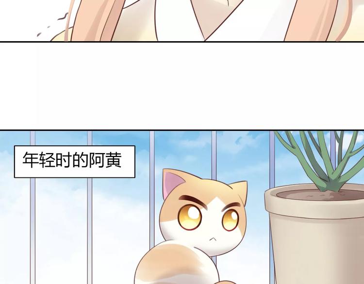 猫爪之下韩漫全集-第42话 小可怜的妈妈？无删减无遮挡章节图片 
