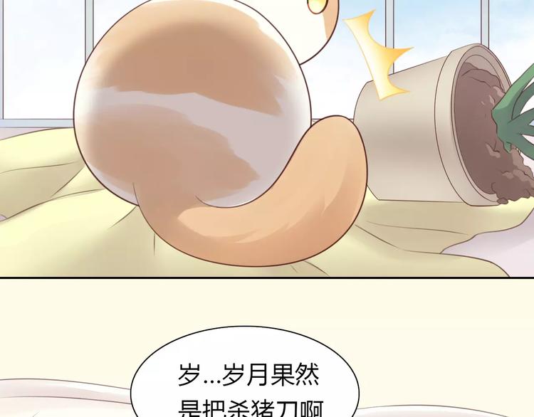 猫爪之下韩漫全集-第42话 小可怜的妈妈？无删减无遮挡章节图片 