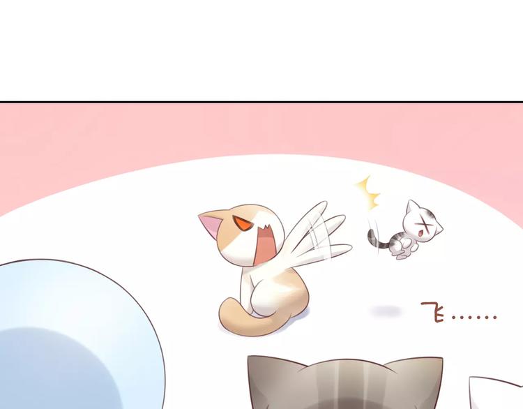 猫爪之下韩漫全集-第42话 小可怜的妈妈？无删减无遮挡章节图片 