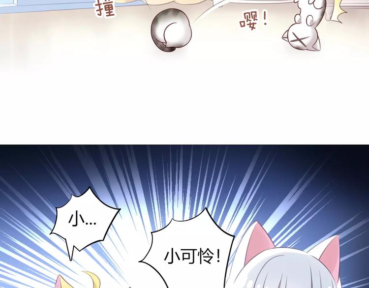 猫爪之下韩漫全集-第42话 小可怜的妈妈？无删减无遮挡章节图片 