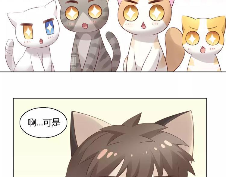 猫爪之下韩漫全集-第43话 嫉妒心无删减无遮挡章节图片 