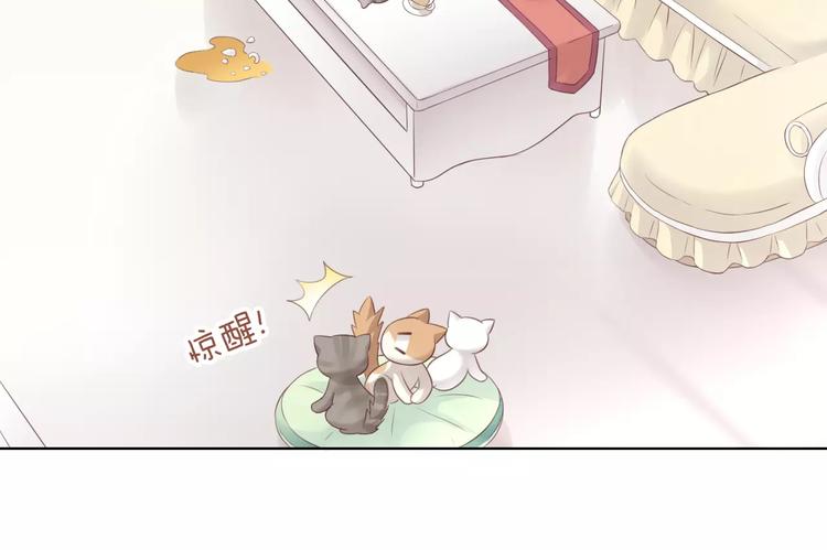 猫爪之下韩漫全集-第43话 嫉妒心无删减无遮挡章节图片 