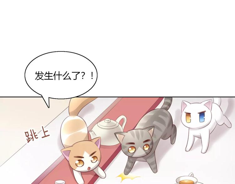 猫爪之下韩漫全集-第43话 嫉妒心无删减无遮挡章节图片 