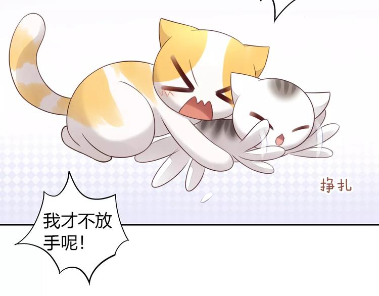 猫爪之下韩漫全集-第44话 女王属性？无删减无遮挡章节图片 