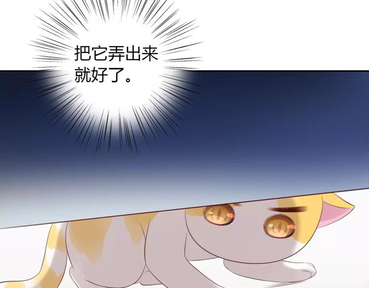 猫爪之下韩漫全集-第44话 女王属性？无删减无遮挡章节图片 