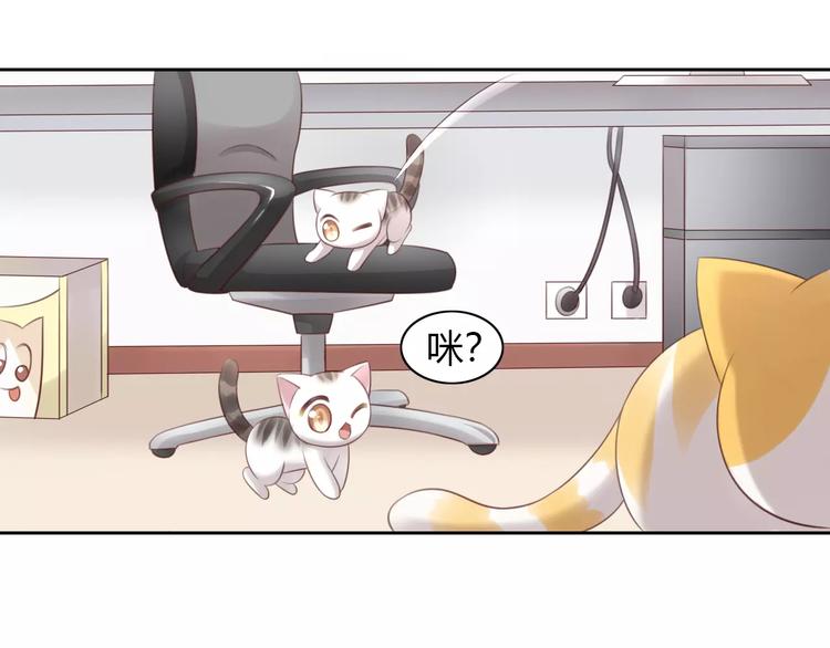 猫爪之下韩漫全集-第44话 女王属性？无删减无遮挡章节图片 